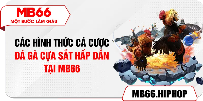 Các hình thức cá cược đá gà cựa sắt hấp dẫn tại MB66