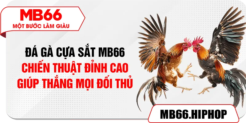 Đá Gà Cựa Sắt MB66 – Chiến Thuật Đỉnh Cao Giúp Thắng Mọi Đối Thủ