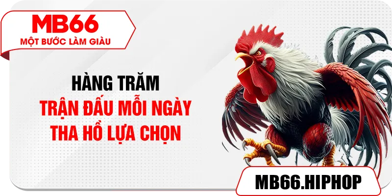 Hàng trăm trận đấu mỗi ngày tha hồ lựa chọn