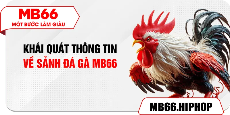 Khái quát thông tin về sảnh đá gà MB66