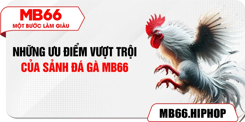 Những ưu điểm vượt trội của sảnh đá gà MB66