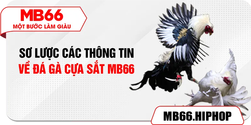 Sơ lược các thông tin về đá gà cựa sắt MB66
