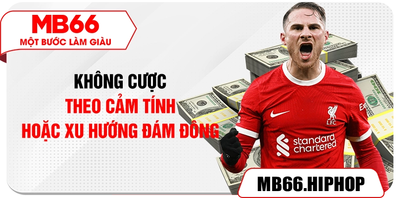 Không cược theo cảm tính hoặc xu hướng đám đông